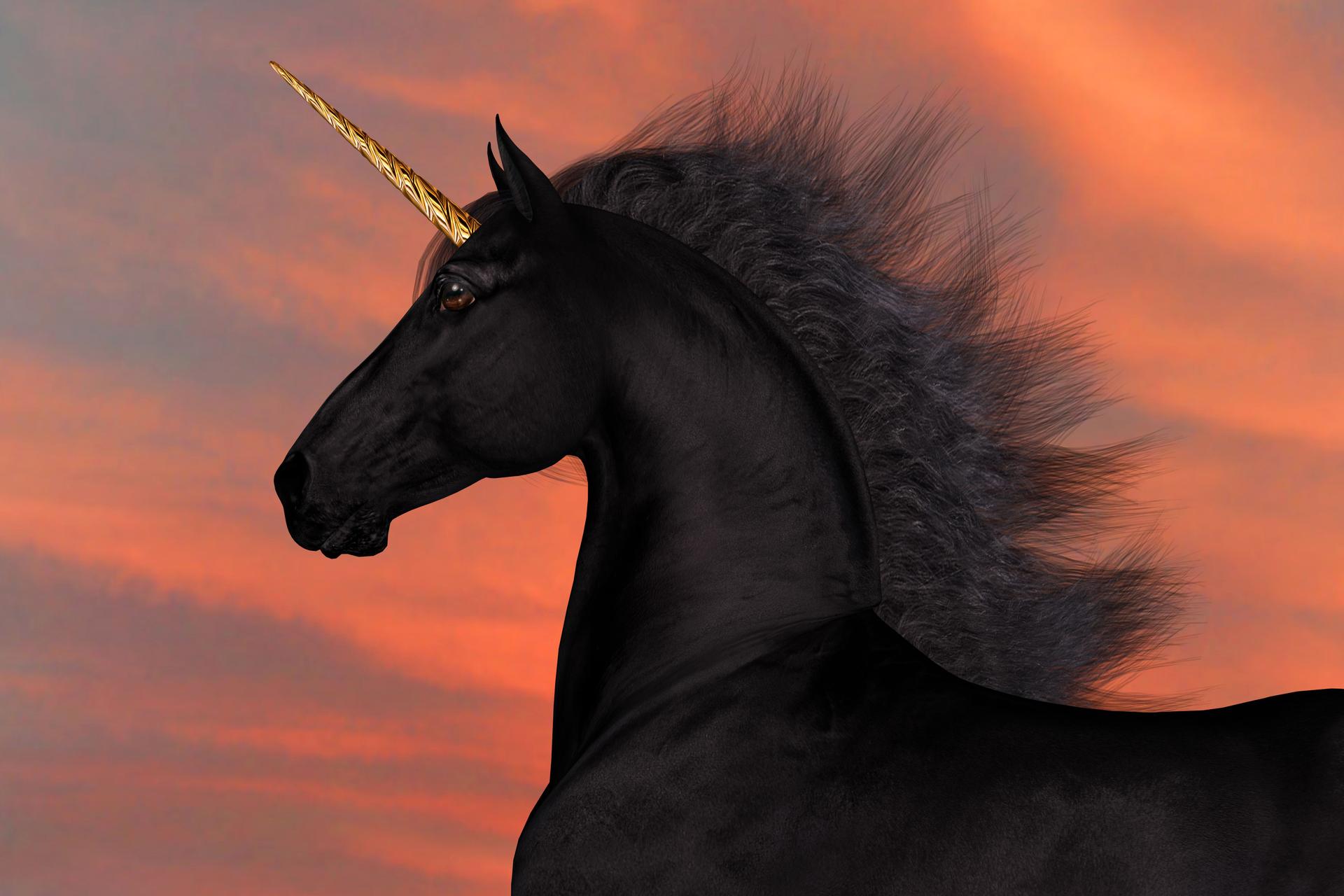 Unicorn Friesian Stallion